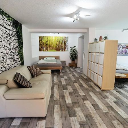 Ferienwohnung - Appartement "Painted Horse" Im Herzen Des Pfaelzer Waldes Reichenbach-Steegen Kültér fotó