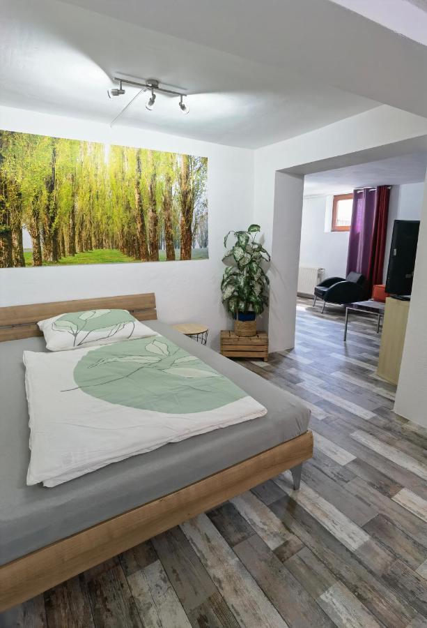 Ferienwohnung - Appartement "Painted Horse" Im Herzen Des Pfaelzer Waldes Reichenbach-Steegen Kültér fotó